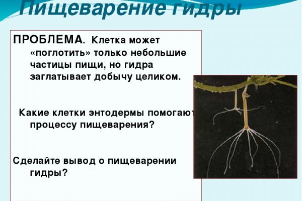 Модератор на кракене