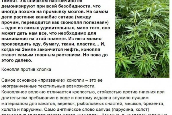 Solaris даркнет
