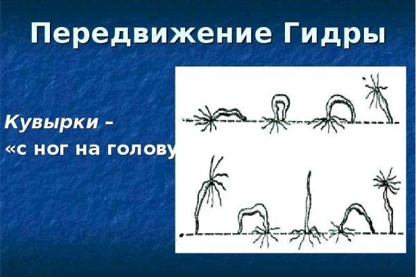 Kraken onion сайта