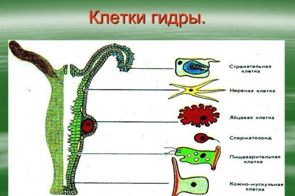 Кракен это что за сайт
