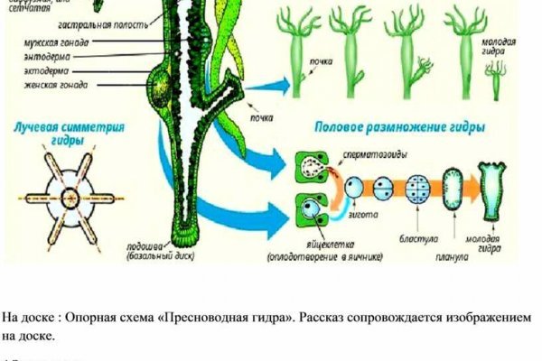 Кракен маркетплейс тор