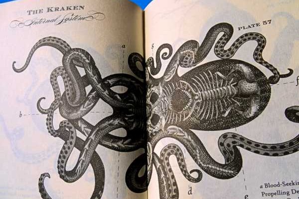 Kraken магазин
