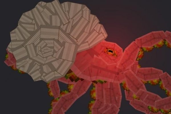 Настоящий сайт kraken