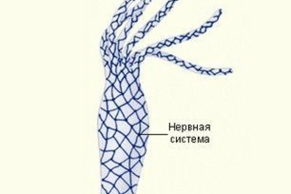 Как войти на кракен