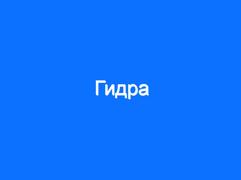Кракен вывод средств